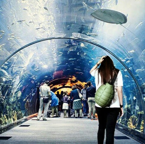 Hải Yến Ngô Nguyễn